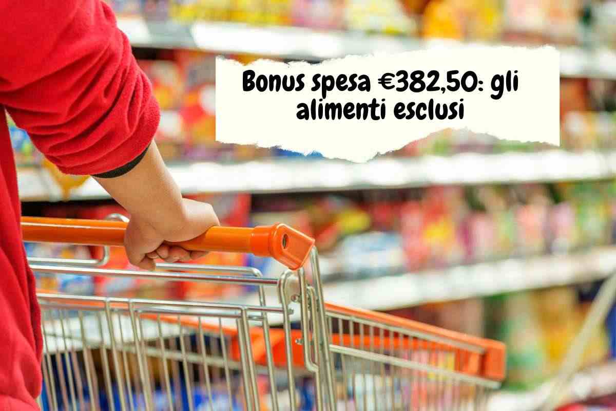 bonus spesa: cosa si potrà comprare