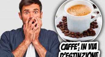 Caffè in via d’estinzione: sarà un bene di lusso per super ricchi | Tutti sconvolti dalla novità