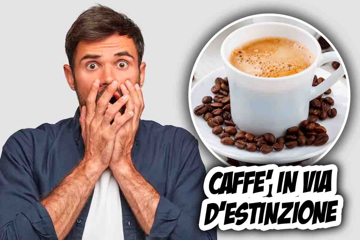 Caffè in estinzione
