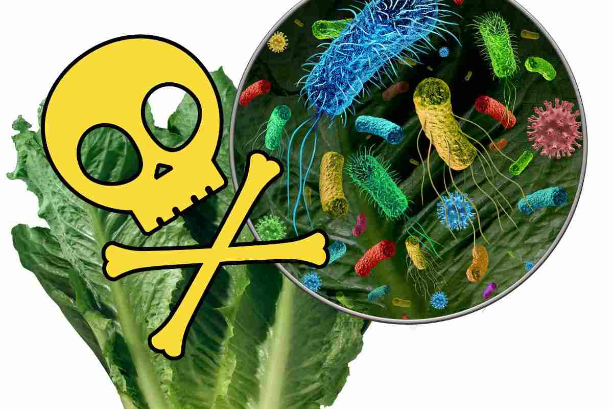 batteri nel cibo