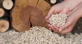 Se non compri il pellet adesso, in inverno piangerai: il prezzo non è mai stato così basso