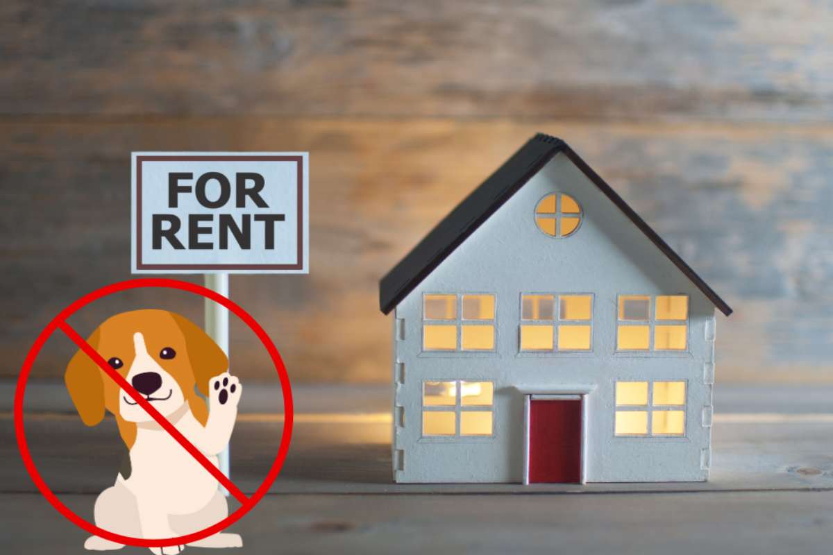 E' possibile vietare un animale domestico in una casa in affitto?