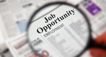 Posto fisso assicurato: aperta selezione per lavorare in Comune e serve solo il diploma