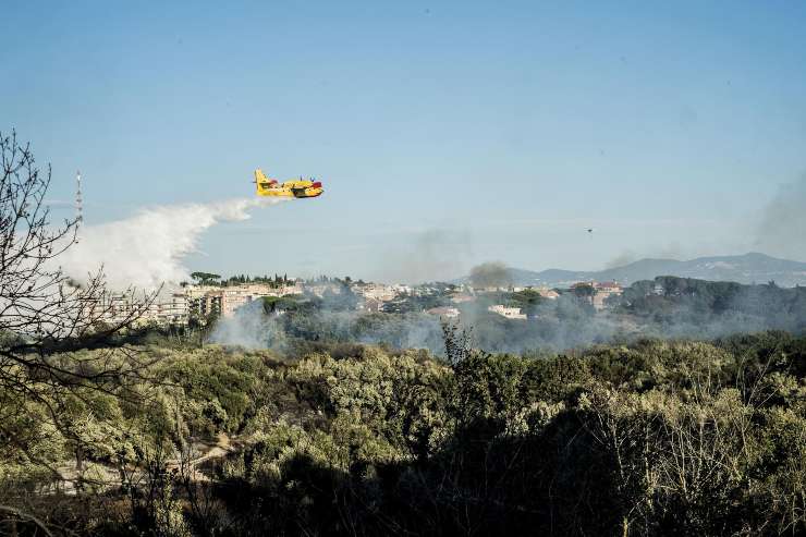 Agenzia Forestale assume personale: 93 posti di lavoro di varie qualifiche, fai in fretta scade a breve