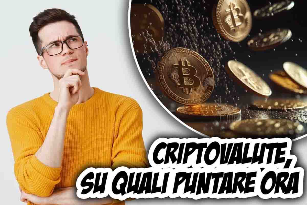 Su quali criptovalute puntare in questo momento