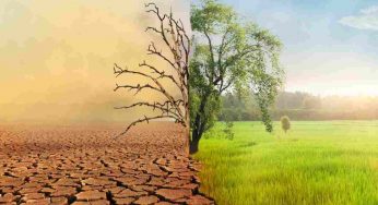 Europa già sconvolta dal cambiamento climatico: una glaciazione causò un’estinzione di massa