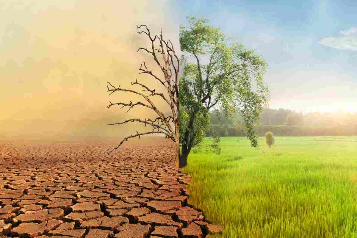 Cambiamento climatico