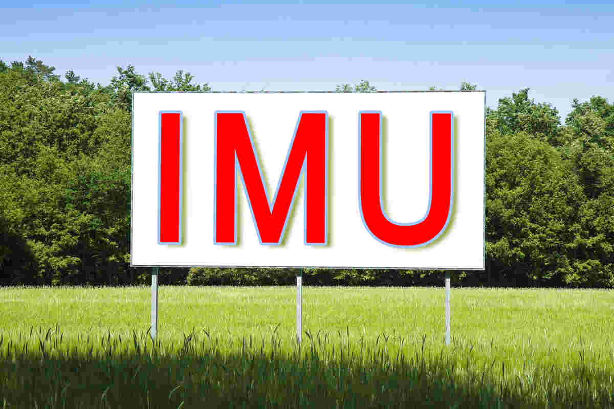 IMU