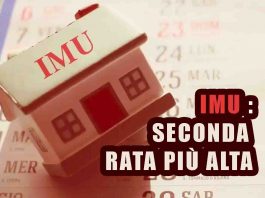 IMU rata