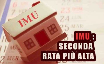 IMU rata