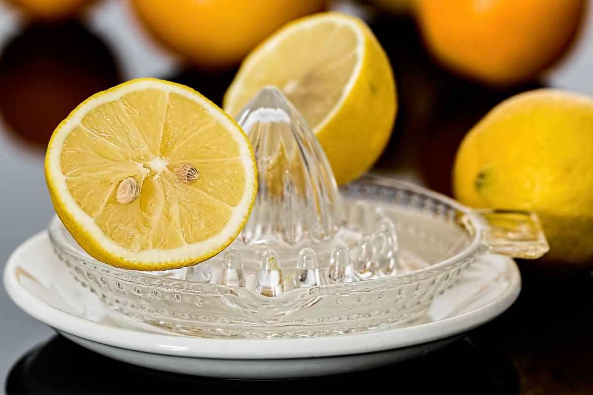 Limoni e acido citrico 