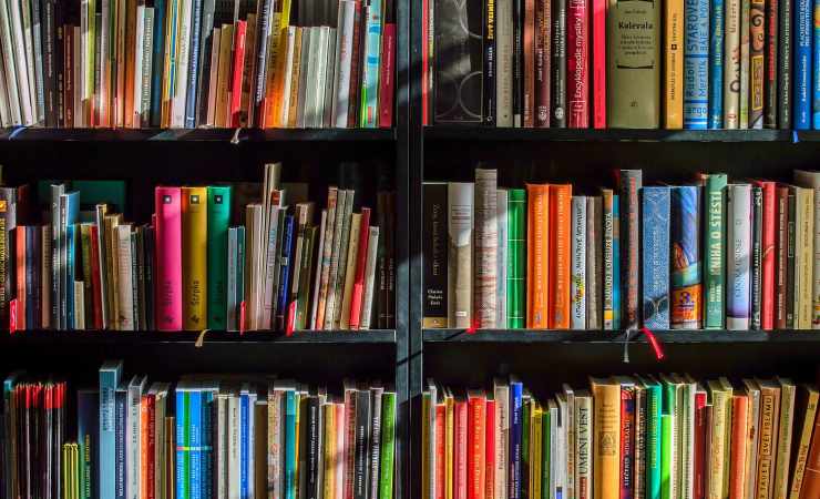 Lavoro in biblioteca, si cercano due assistenti