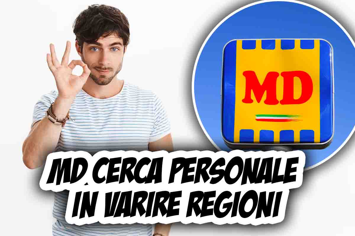 Lavoro in md discount, i requisiti per candidarsi