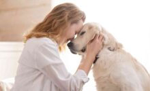 detrazione cremazione cane
